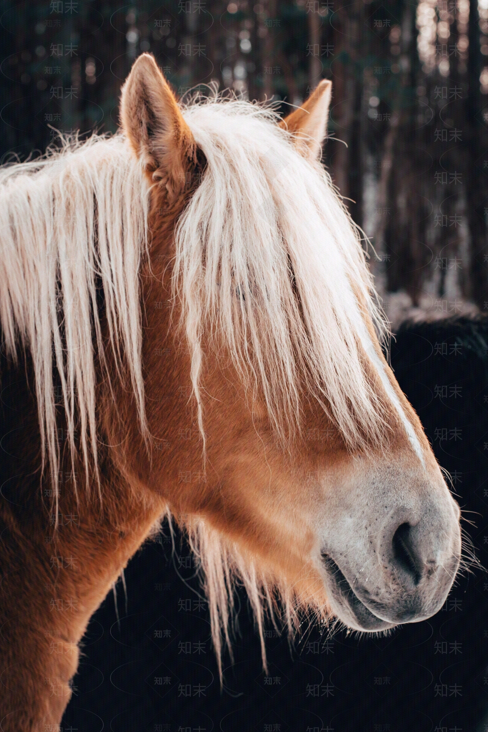 现代挂画贴图下载【ID:1170830033】