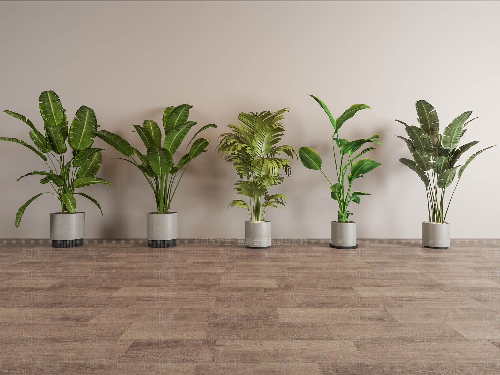 盆栽3D模型下载【ID:1170865536】