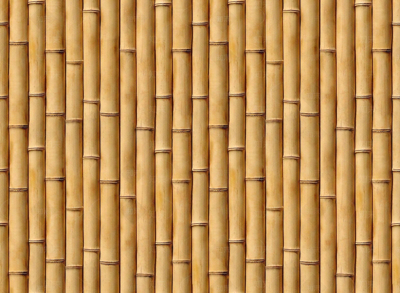 现代新中式竹子贴图下载【ID:1170891965】