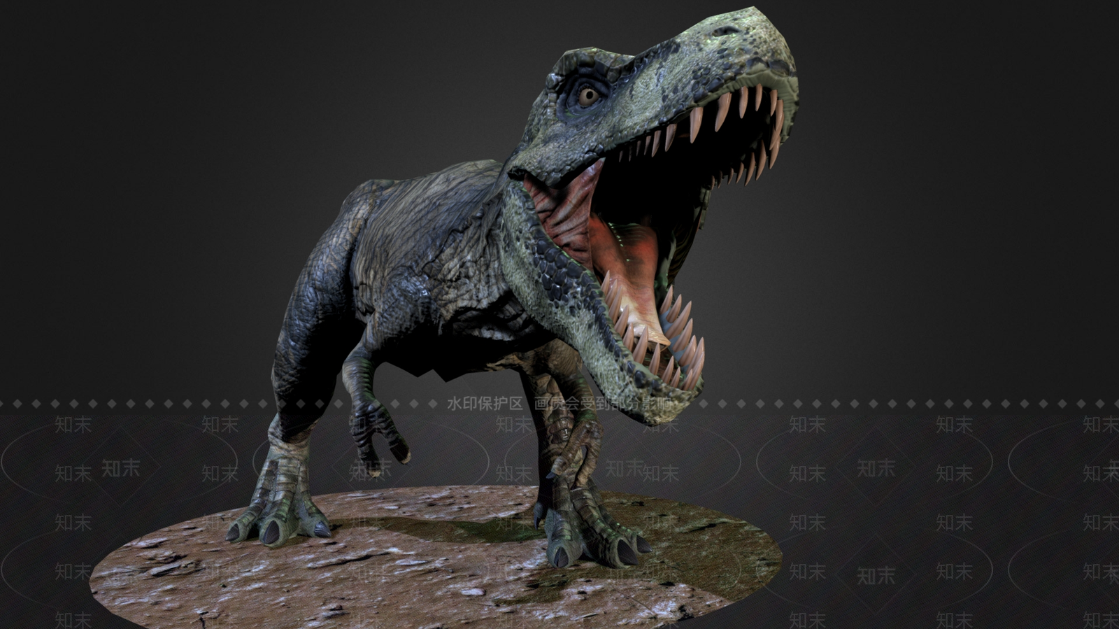 爬行类动物3D模型下载【ID:1170915378】