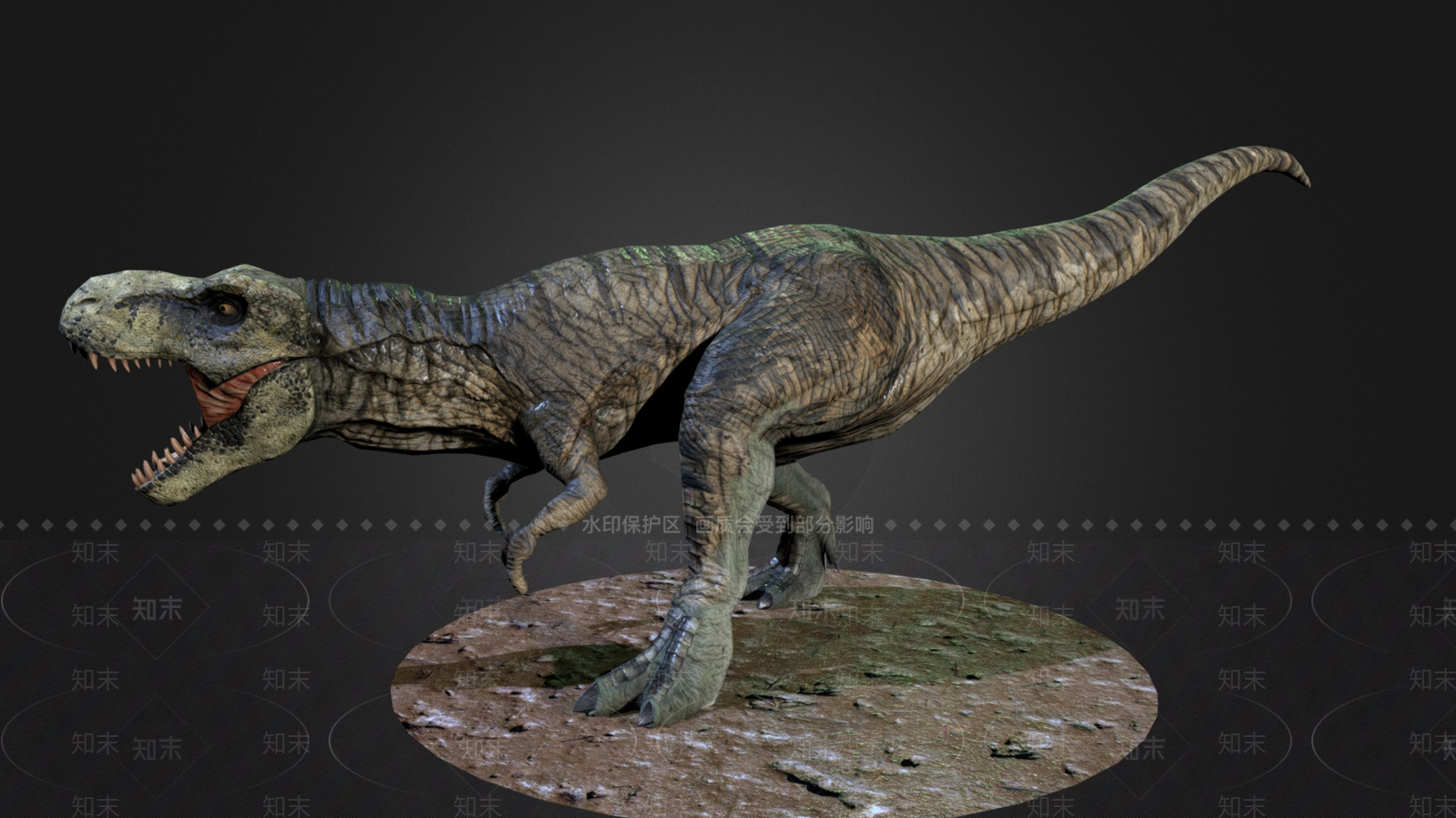 爬行类动物3D模型下载【ID:1170915378】