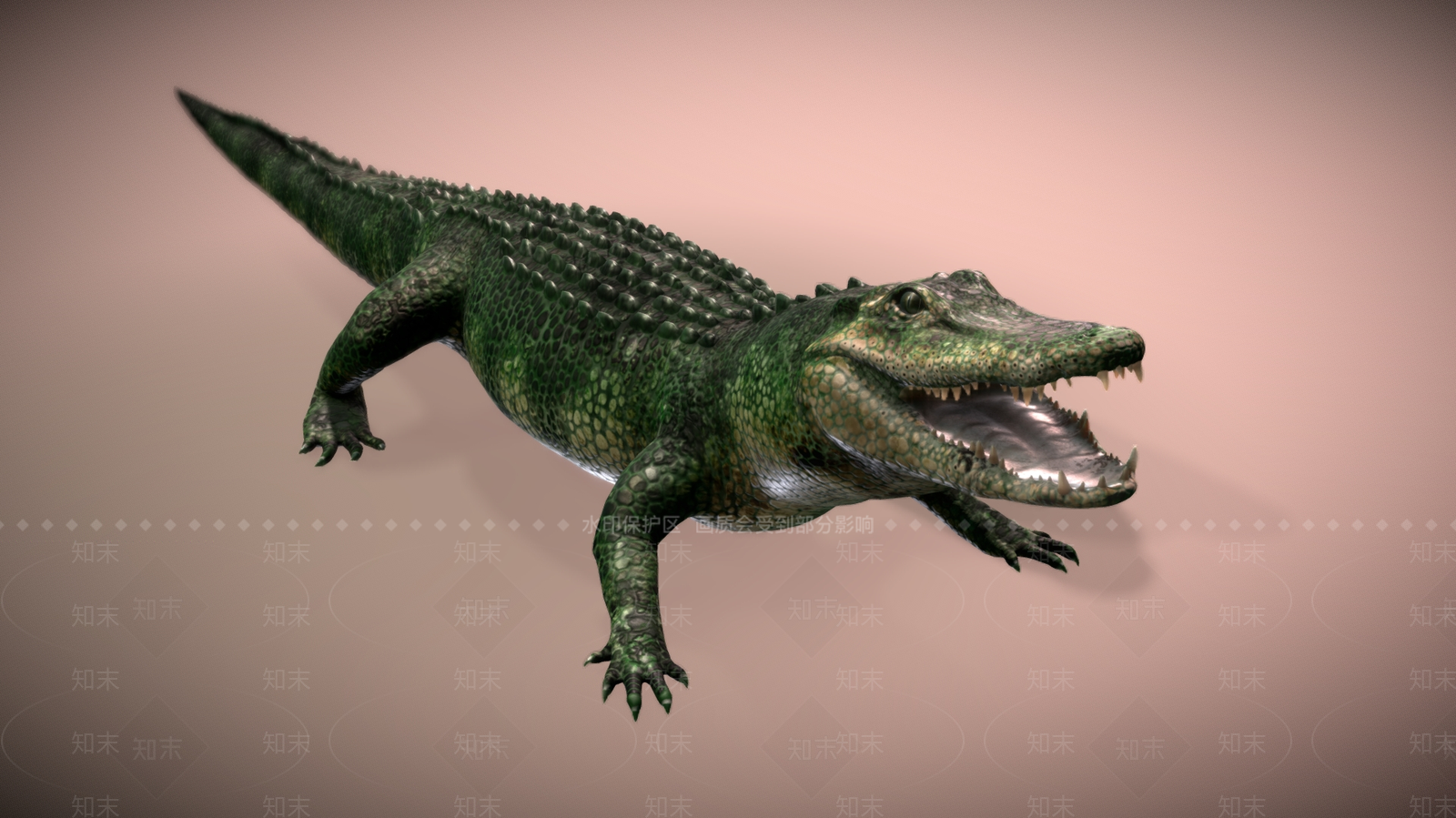 爬行类动物3D模型下载【ID:1170917362】