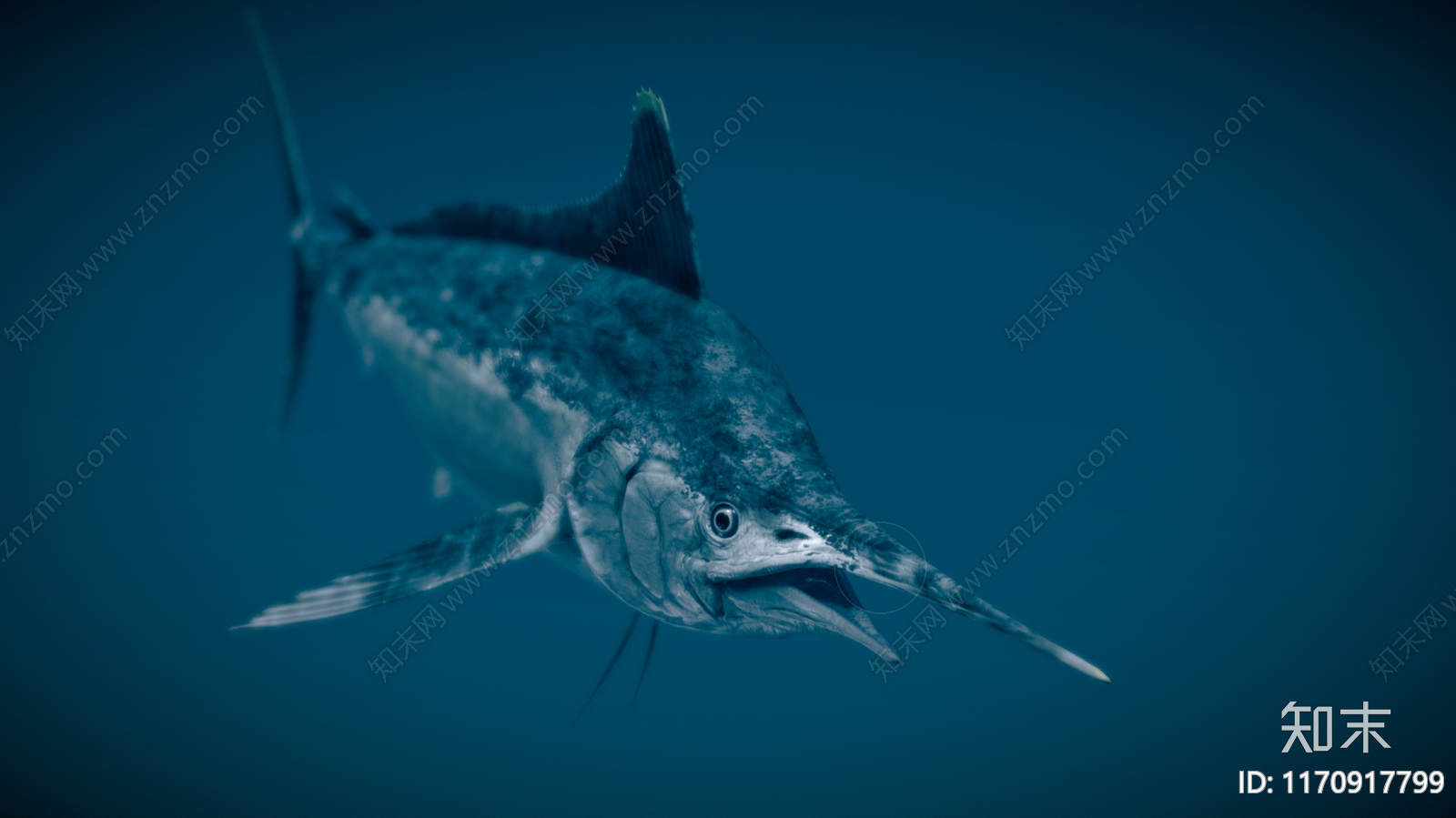 水生类动物3D模型下载【ID:1170917799】