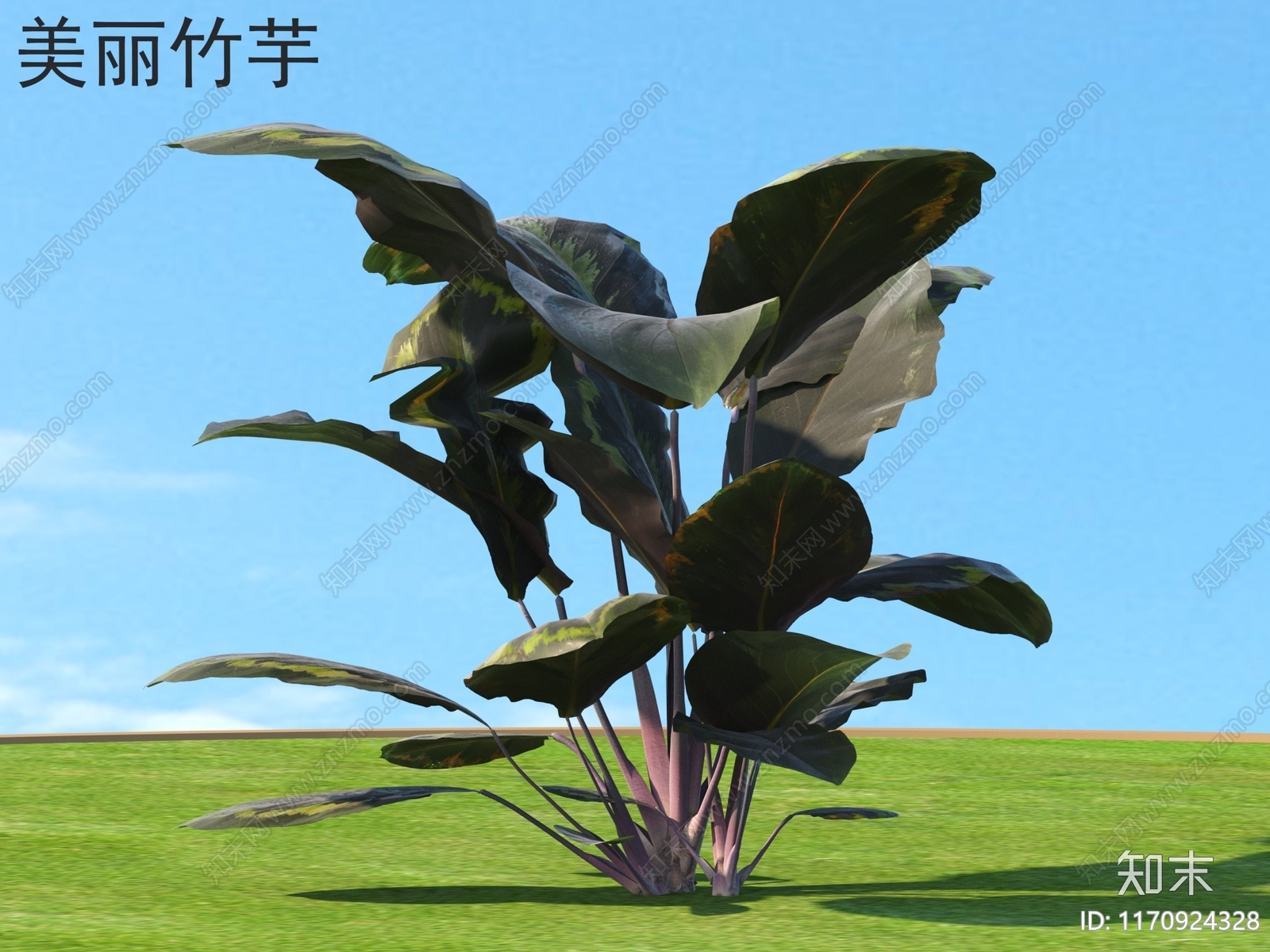 草3D模型下载【ID:1170924328】