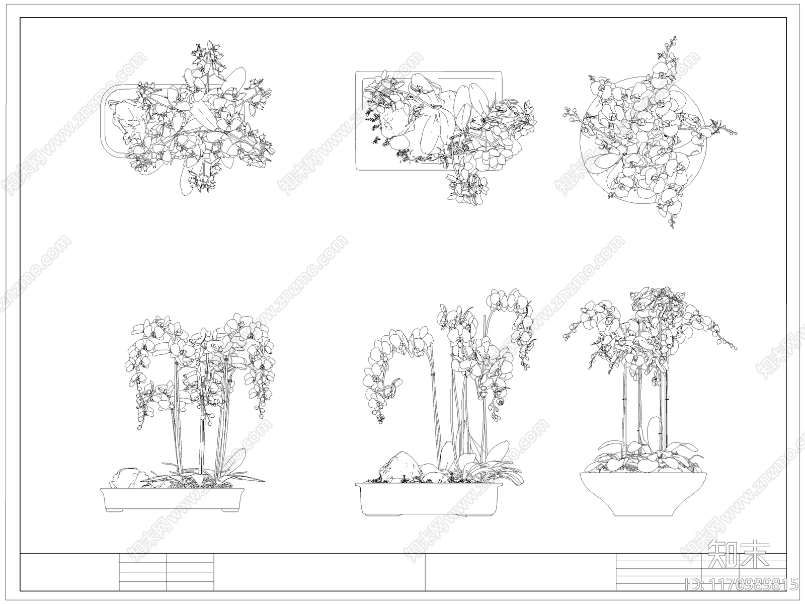 现代综合植物图库施工图下载【ID:1170989815】