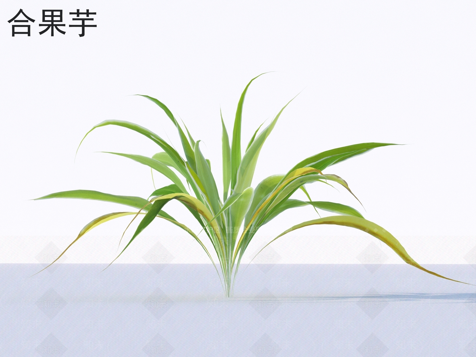 草3D模型下载【ID:1171018627】