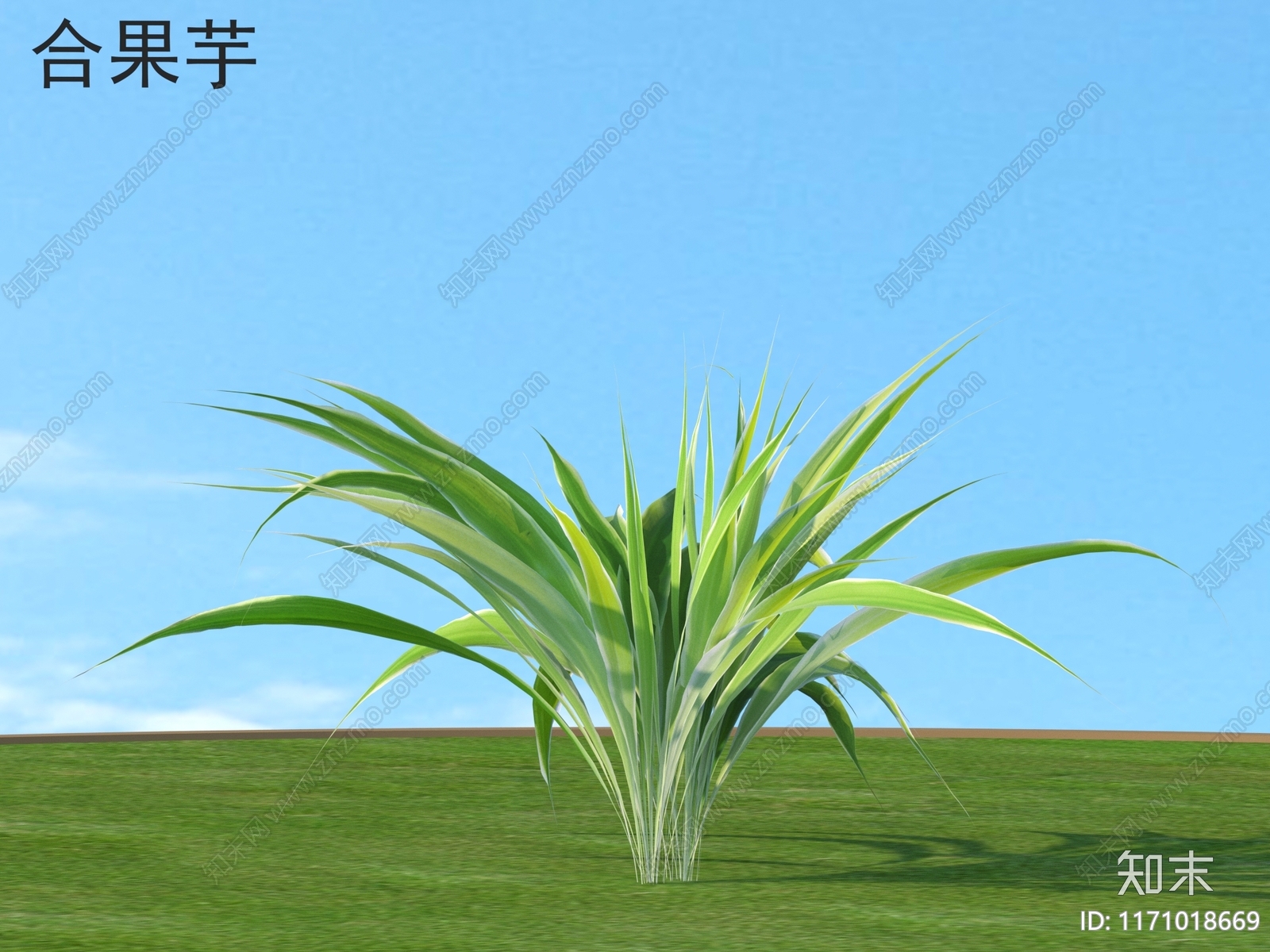 草3D模型下载【ID:1171018669】