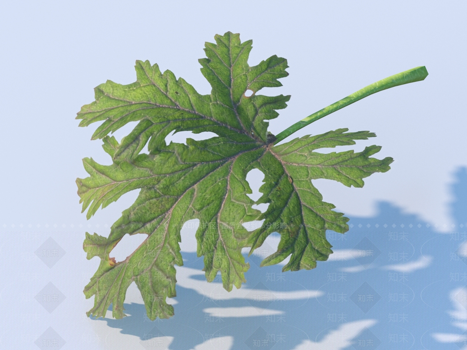其他树木3D模型下载【ID:1171068176】