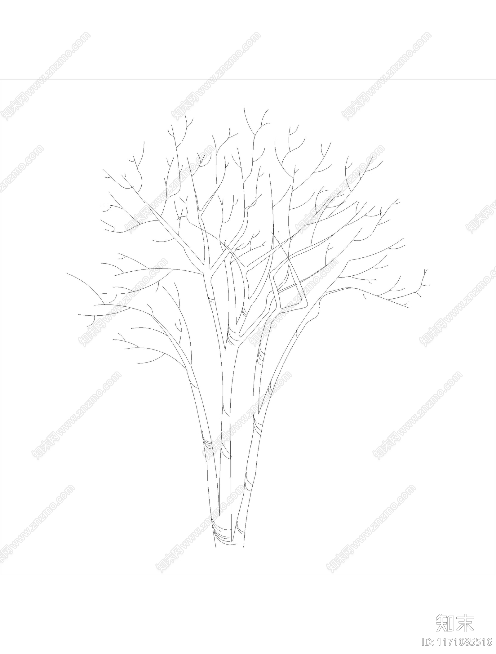 现代树cad施工图下载【ID:1171085516】
