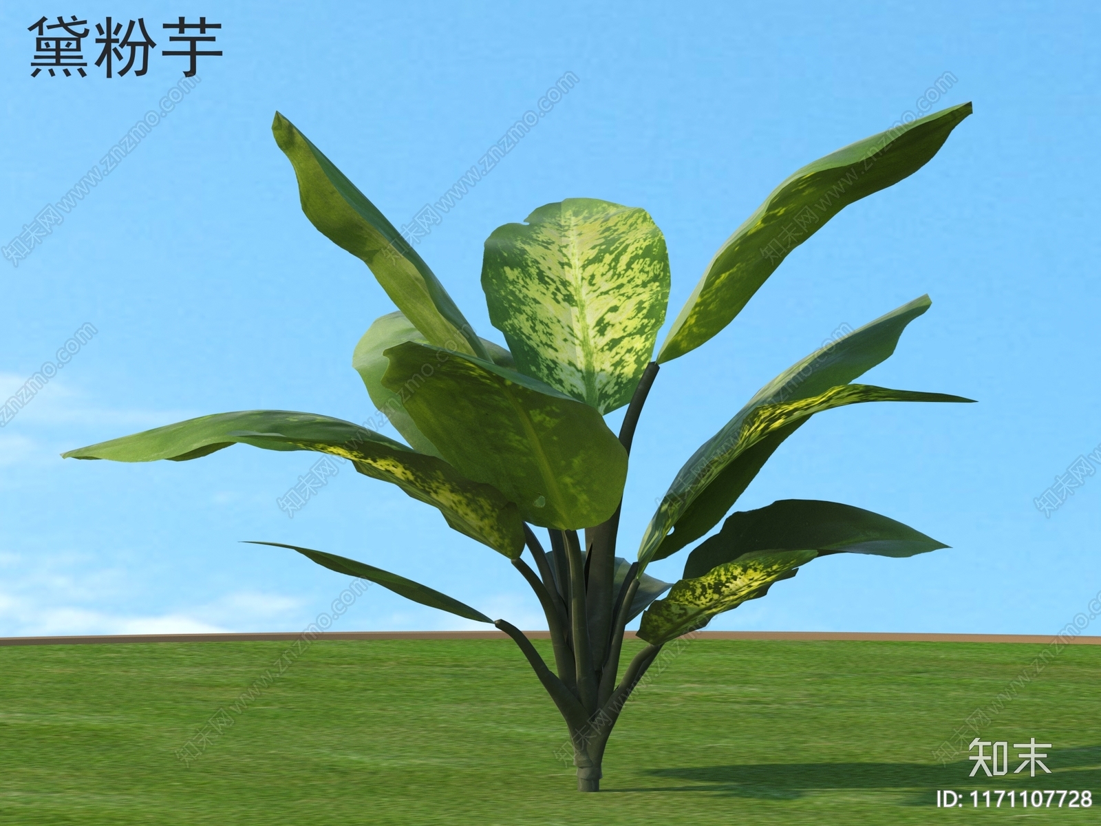 草3D模型下载【ID:1171107728】