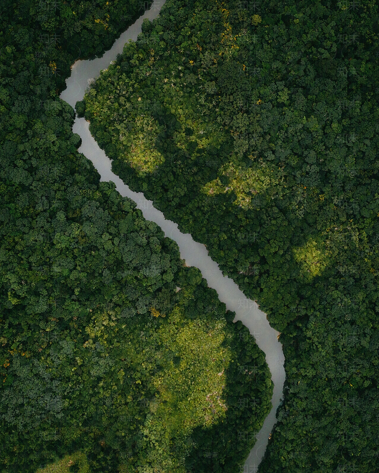 现代其它外景贴图下载【ID:1171124848】