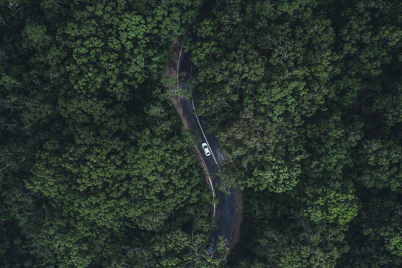 现代其它外景贴图下载【ID:1171127359】