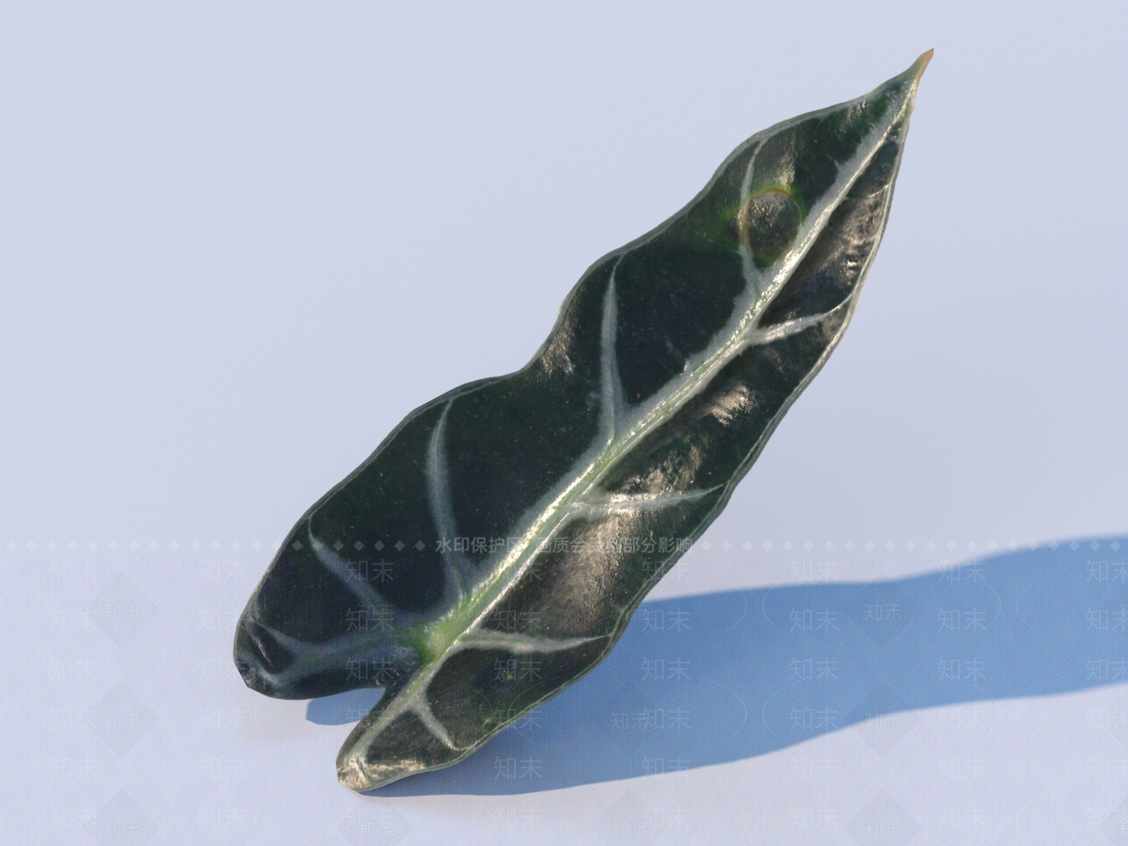 其他树木3D模型下载【ID:1171148447】
