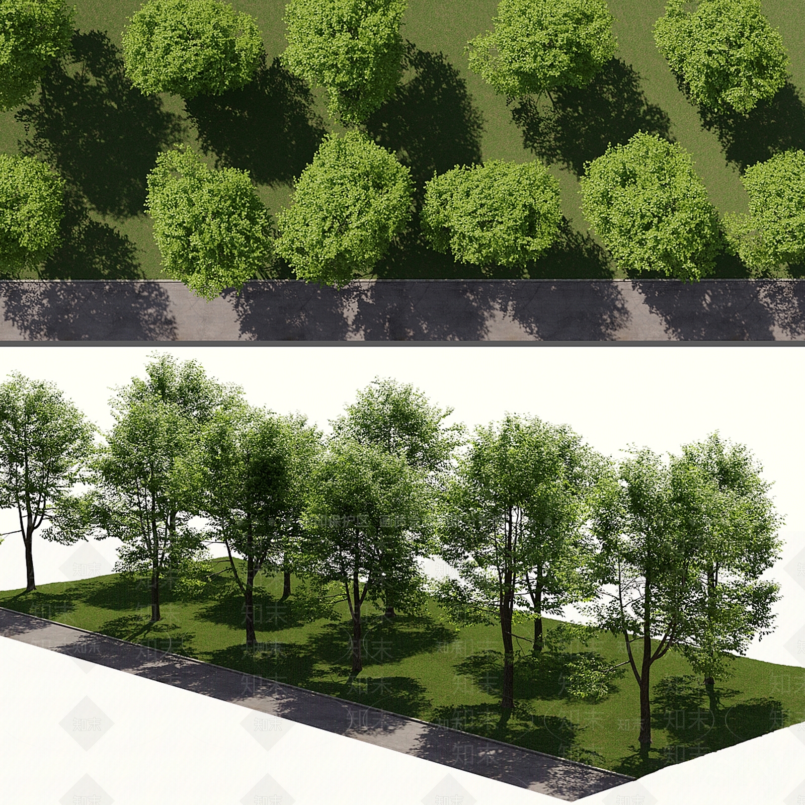 景观树3D模型下载【ID:1171171503】