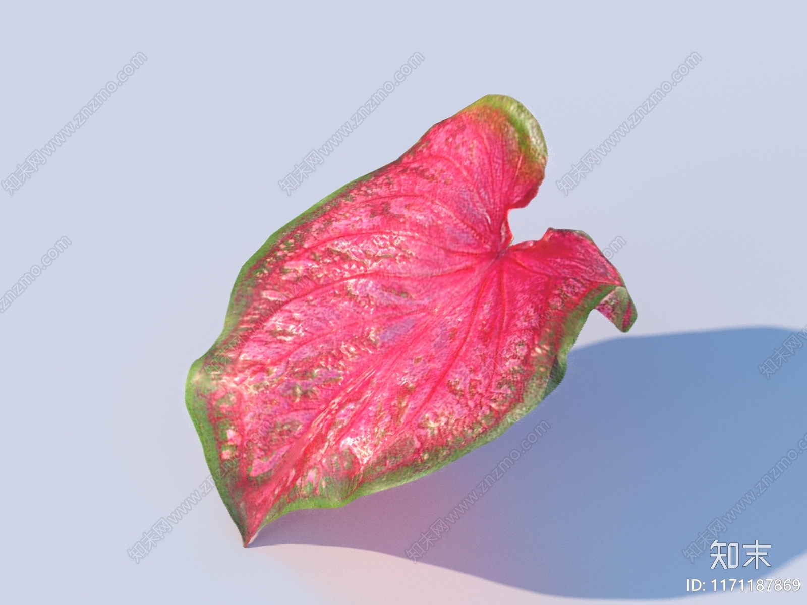 其他树木3D模型下载【ID:1171187869】