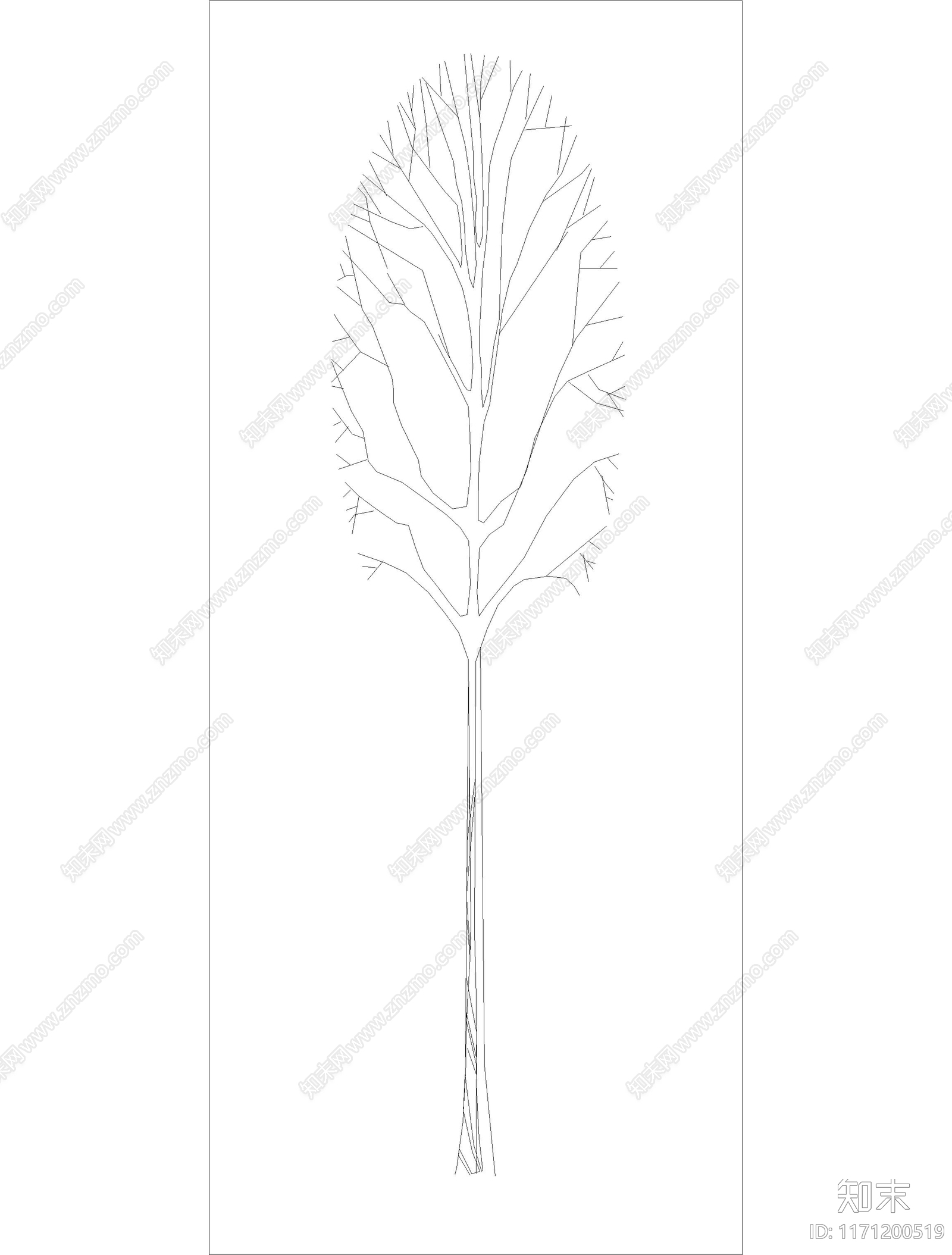 现代树cad施工图下载【ID:1171200519】