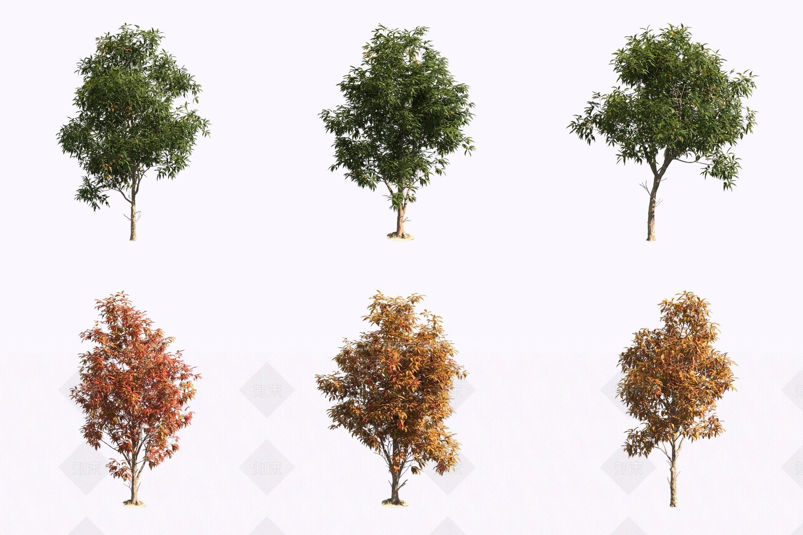 景观树3D模型下载【ID:1171225263】