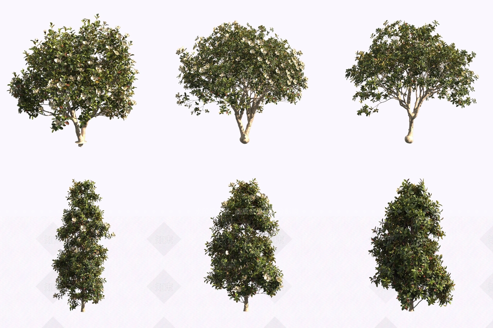 景观树3D模型下载【ID:1171226123】