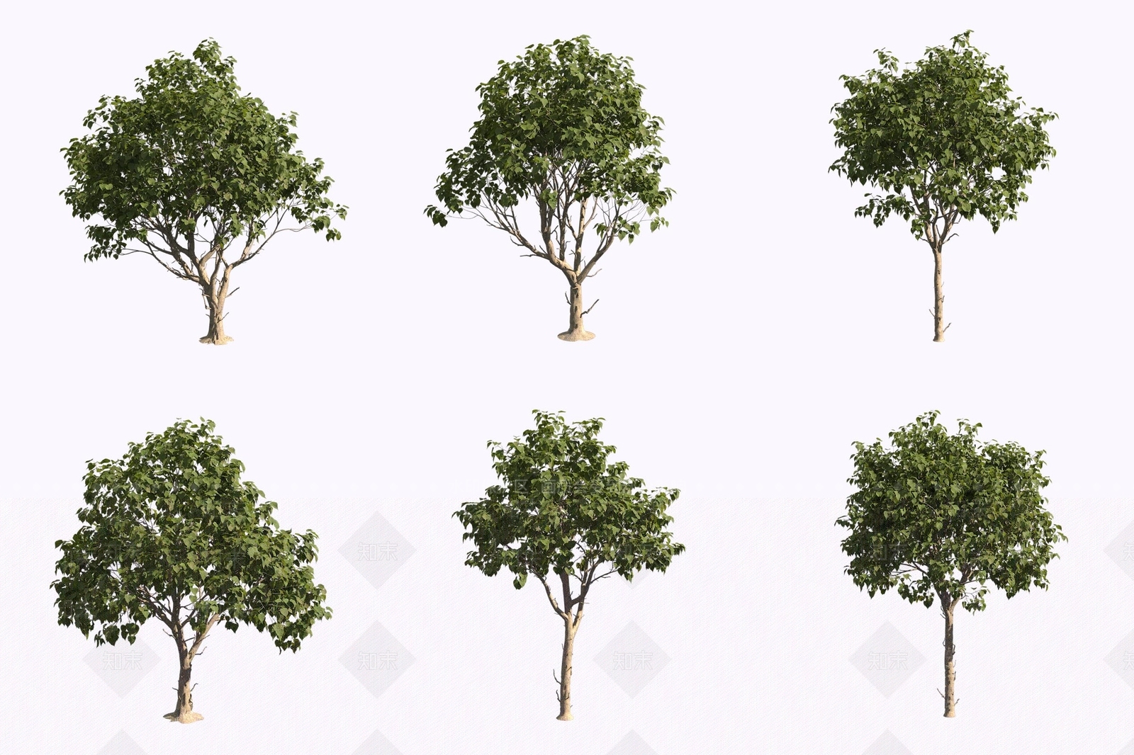 景观树3D模型下载【ID:1171226798】