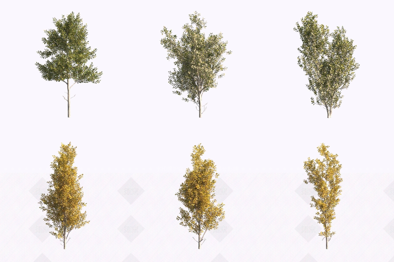 景观树3D模型下载【ID:1171227587】