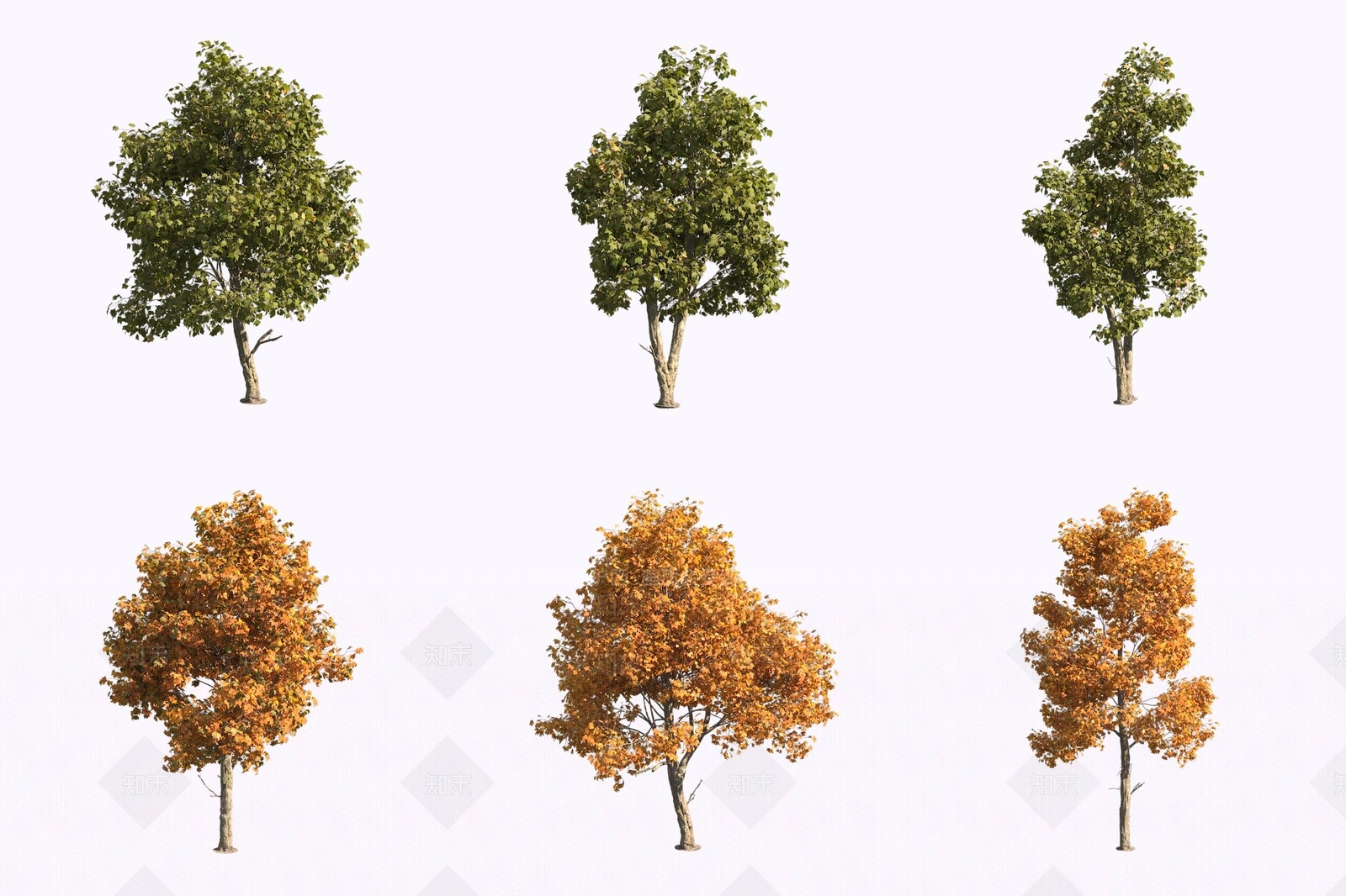 景观树3D模型下载【ID:1171227744】