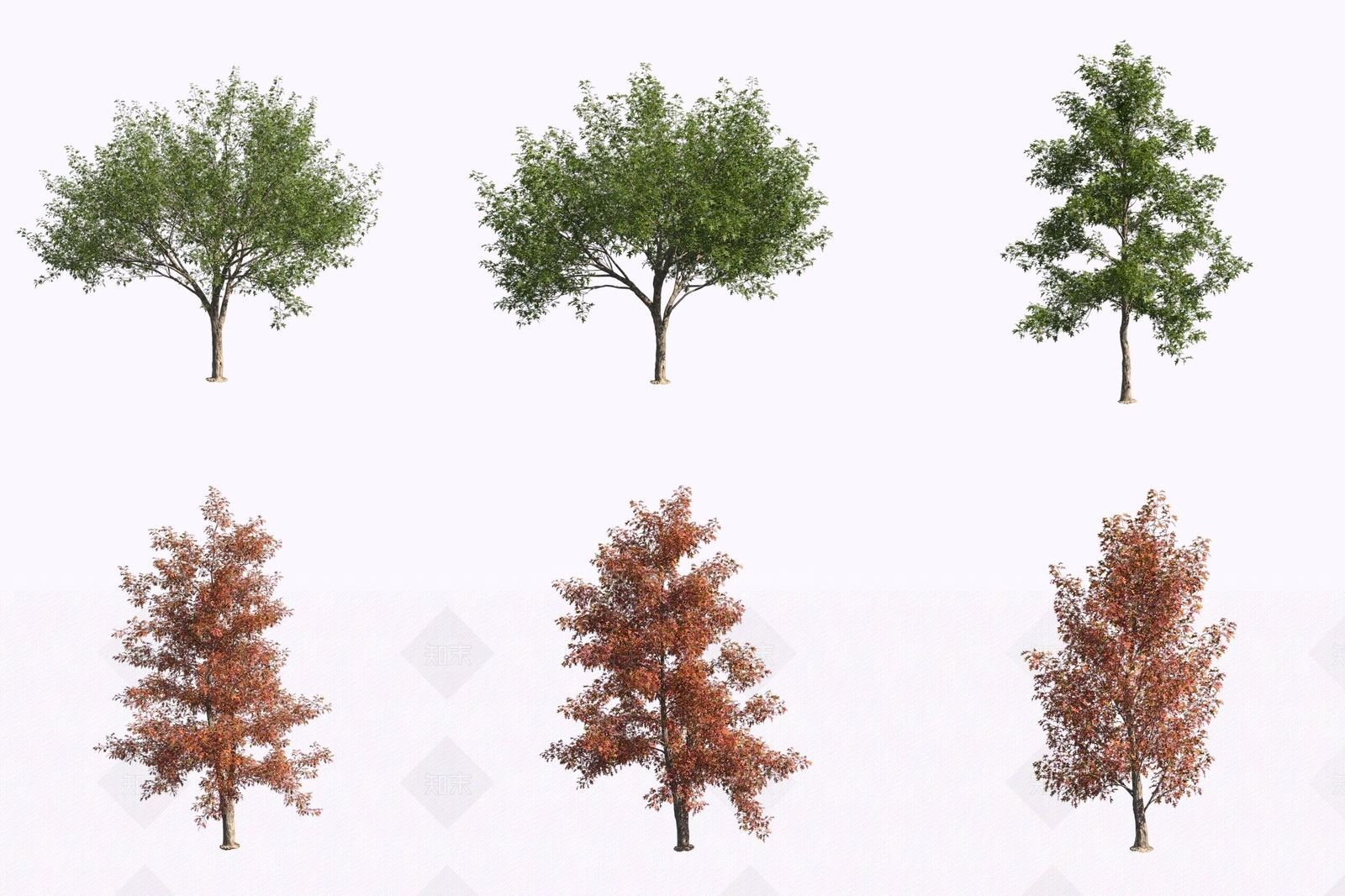景观树3D模型下载【ID:1171227999】