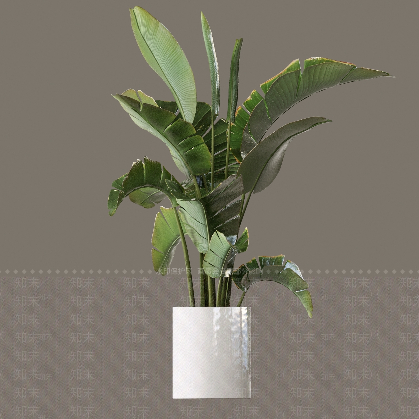 植物堆3D模型下载【ID:1171319607】