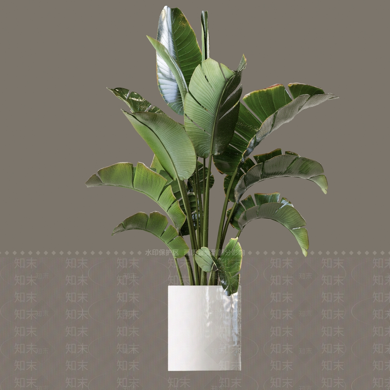 植物堆3D模型下载【ID:1171319607】