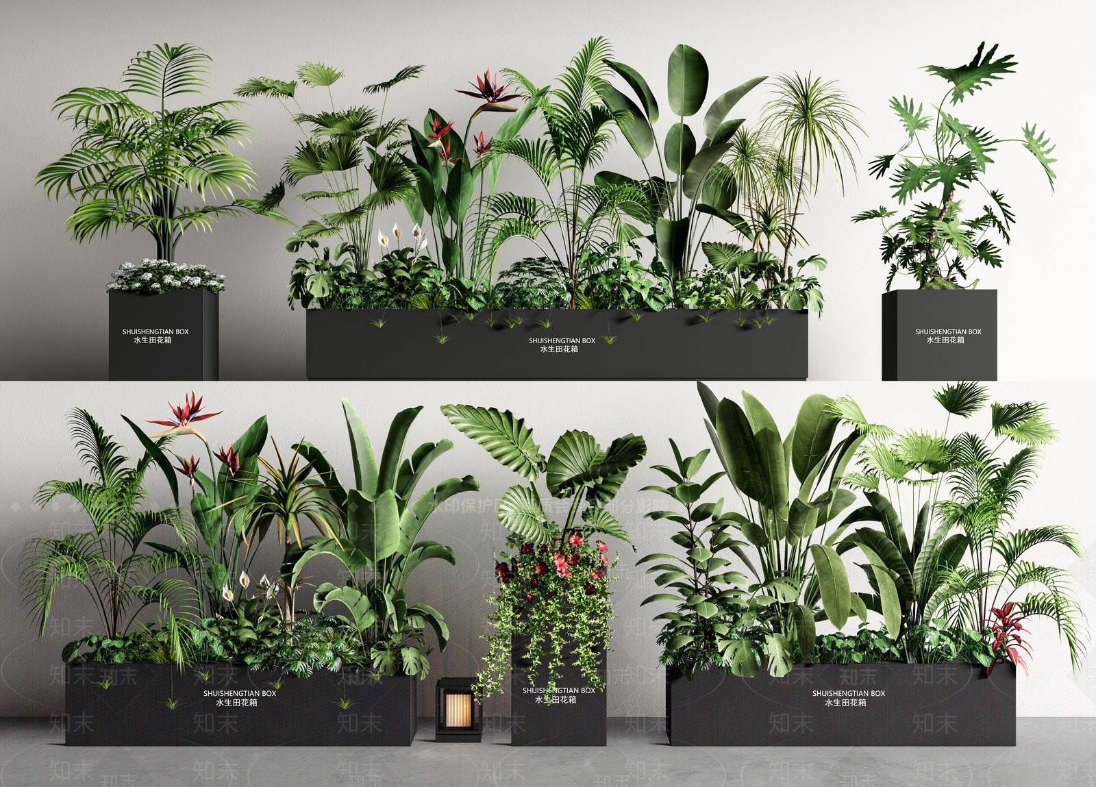 植物组合SU模型下载【ID:1171329538】