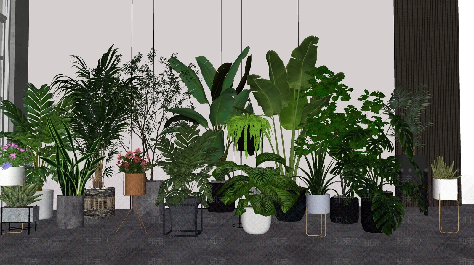 植物组合SU模型下载【ID:1171340753】