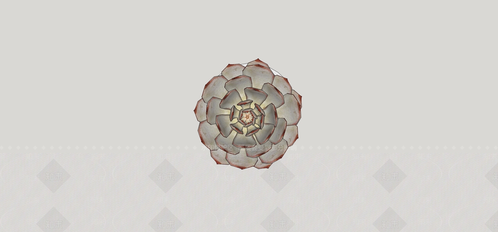 多肉植物SU模型下载【ID:1171346188】