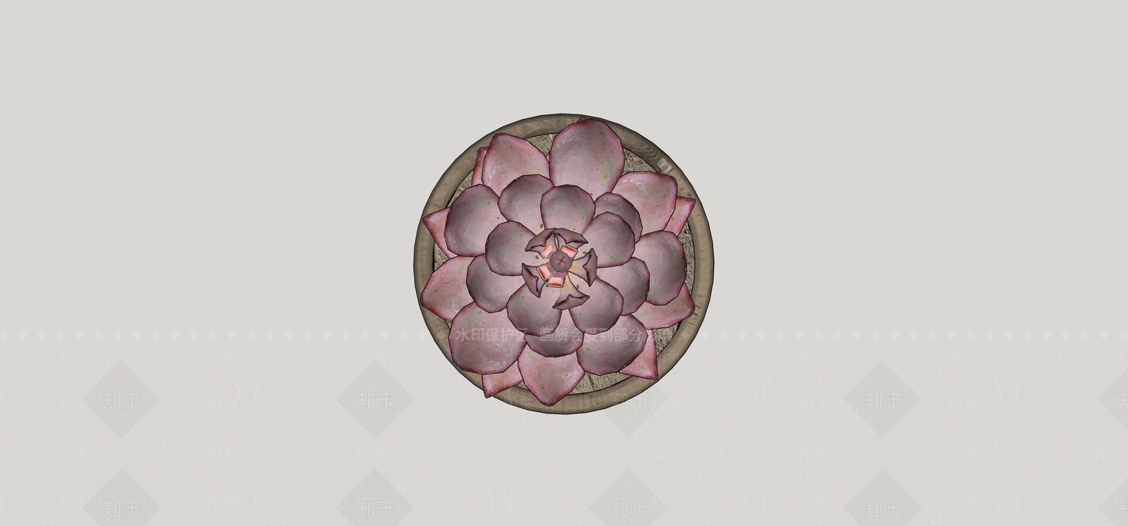 多肉植物SU模型下载【ID:1171346270】