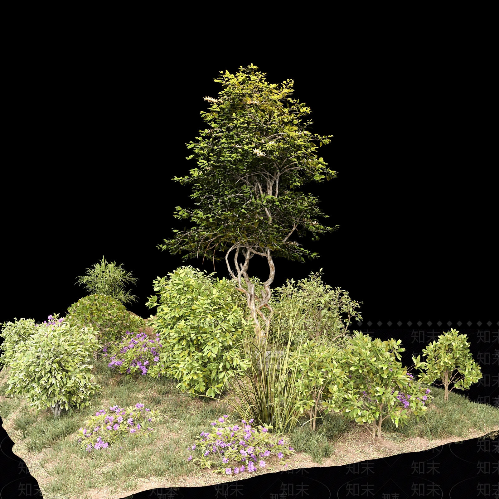 景观树3D模型下载【ID:1171352747】