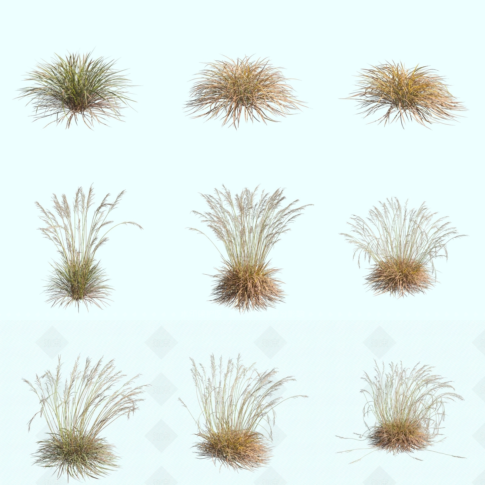 花草组合3D模型下载【ID:1171365998】