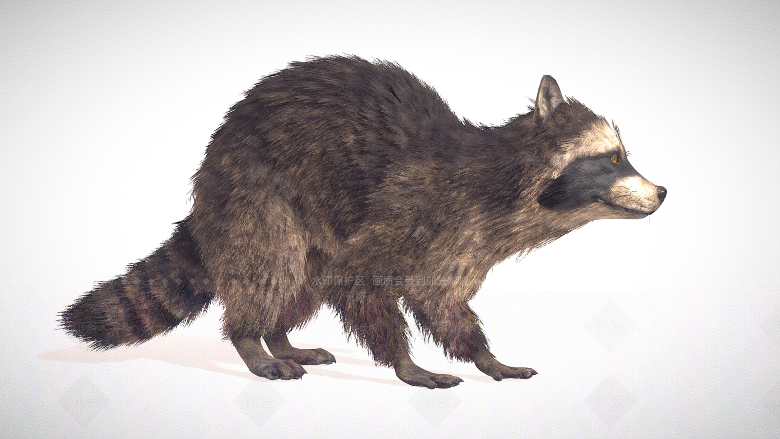 爬行类动物3D模型下载【ID:1171372277】