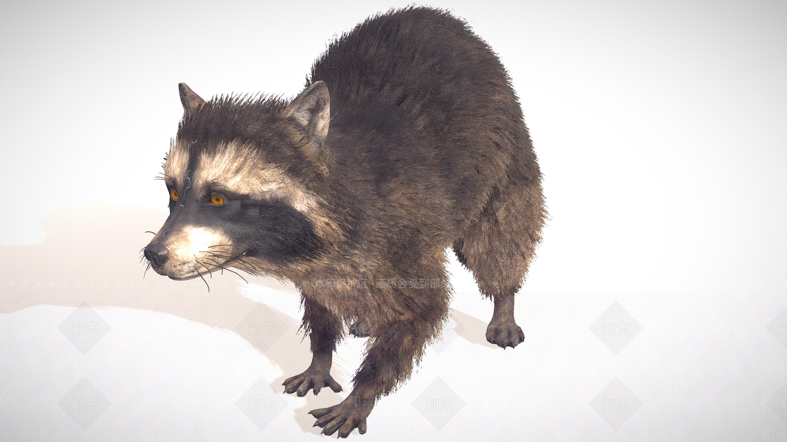 爬行类动物3D模型下载【ID:1171372277】