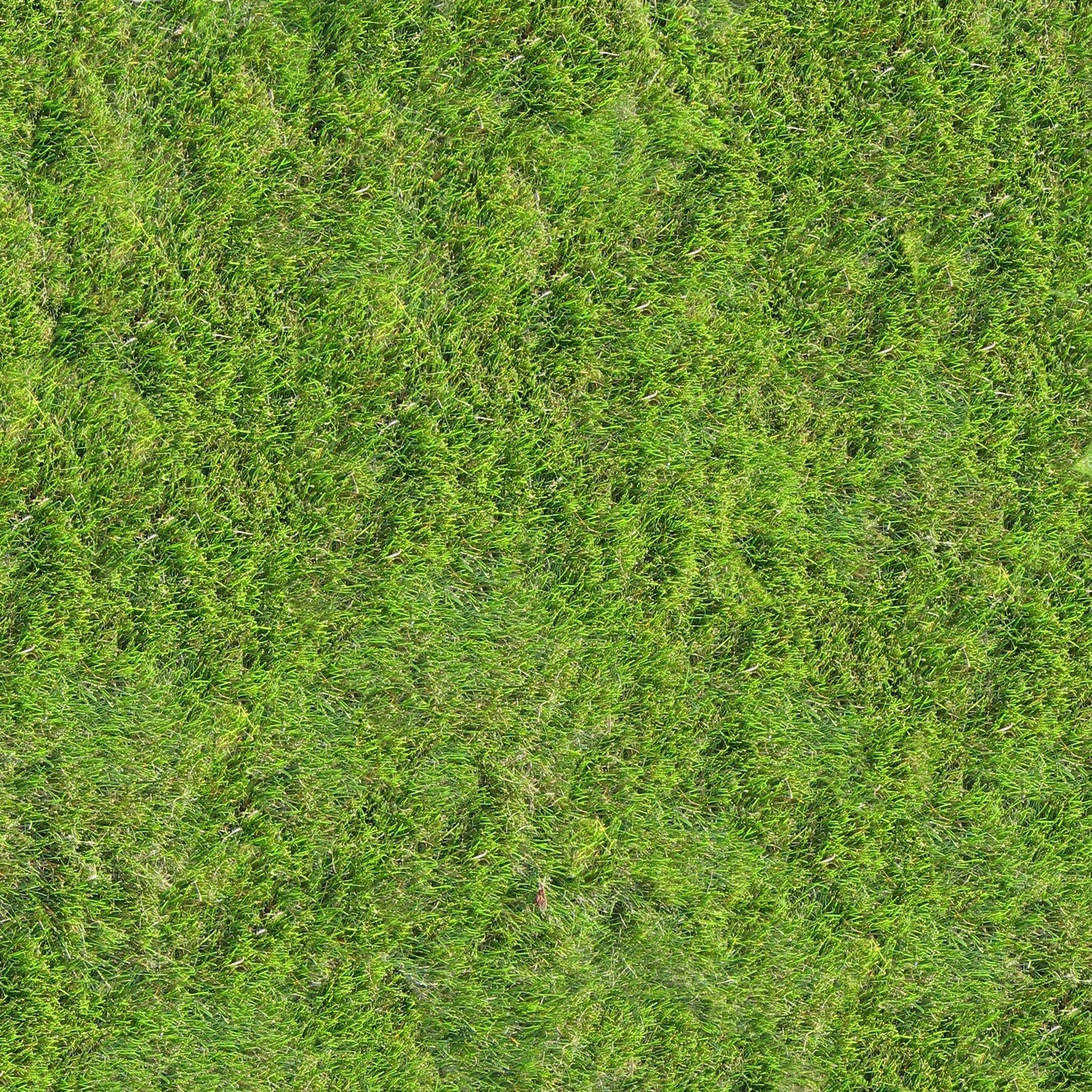 现代自然地面贴图下载【ID:1171383104】