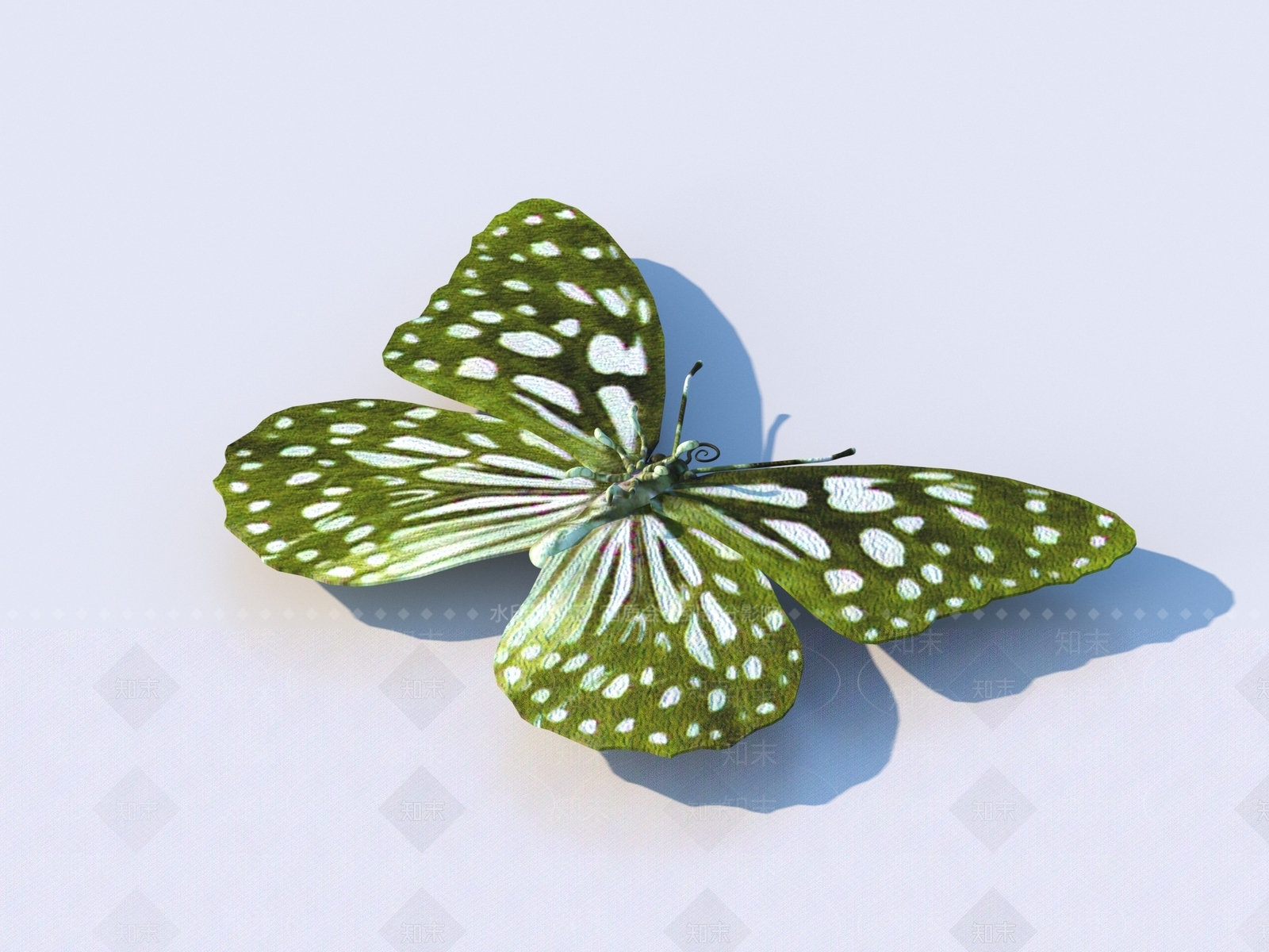 飞行类动物3D模型下载【ID:1171397367】