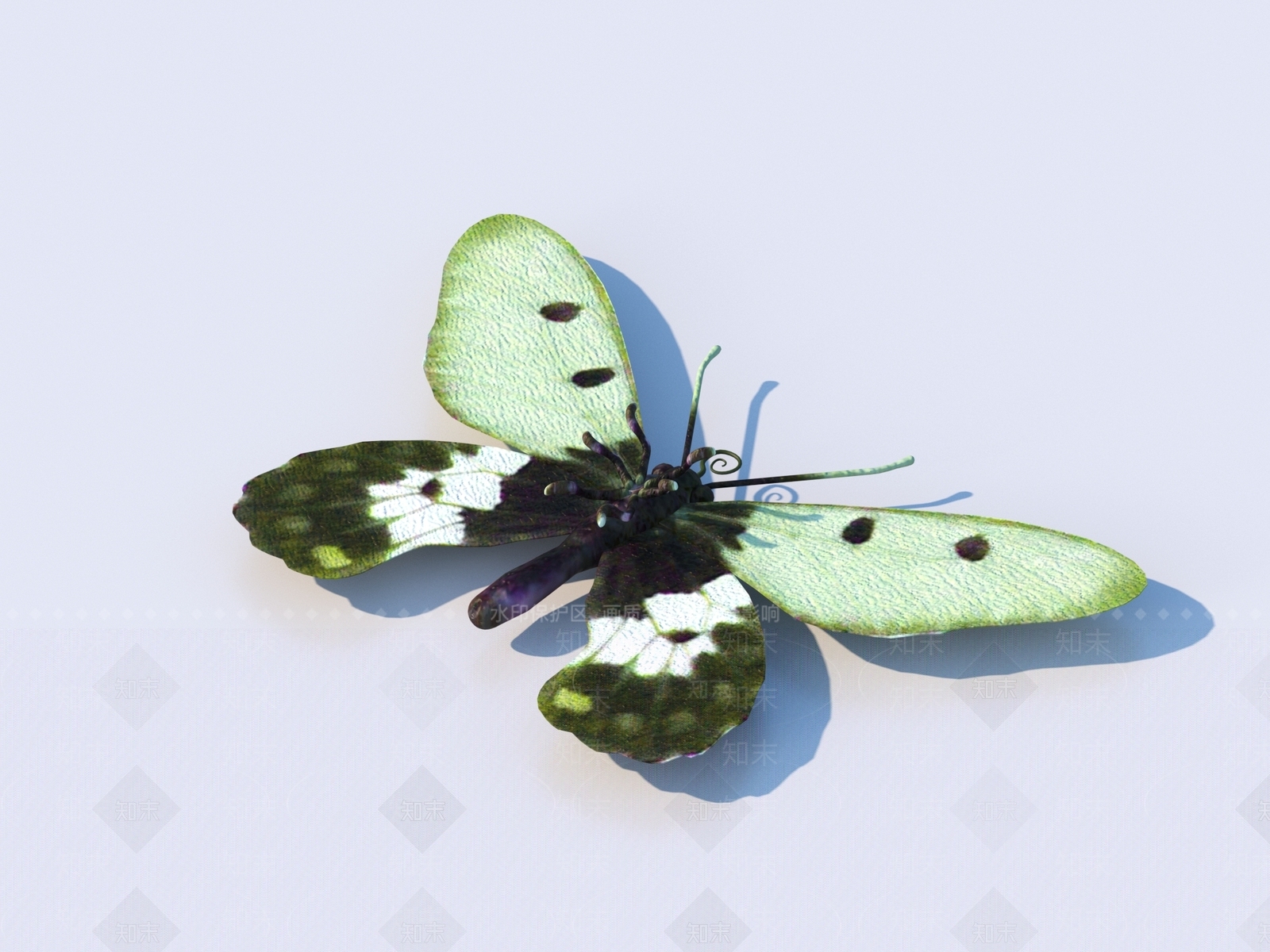 飞行类动物3D模型下载【ID:1171397452】