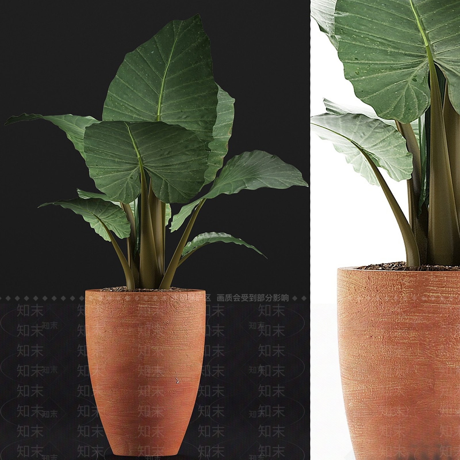 盆栽3D模型下载【ID:1171399350】