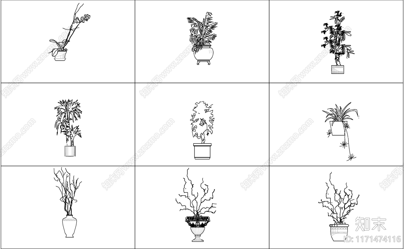 现代树施工图下载【ID:1171474116】