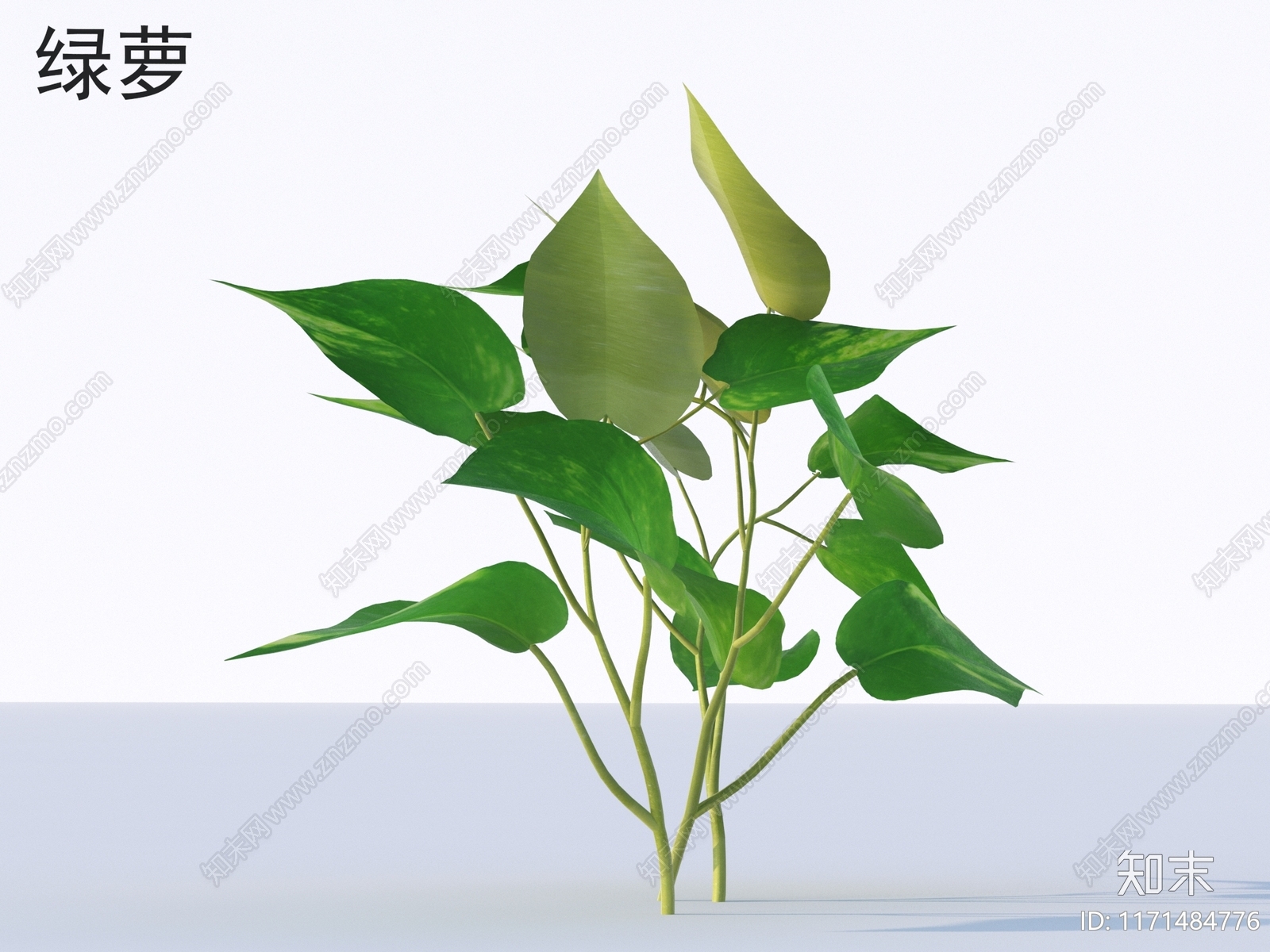 草3D模型下载【ID:1171484776】