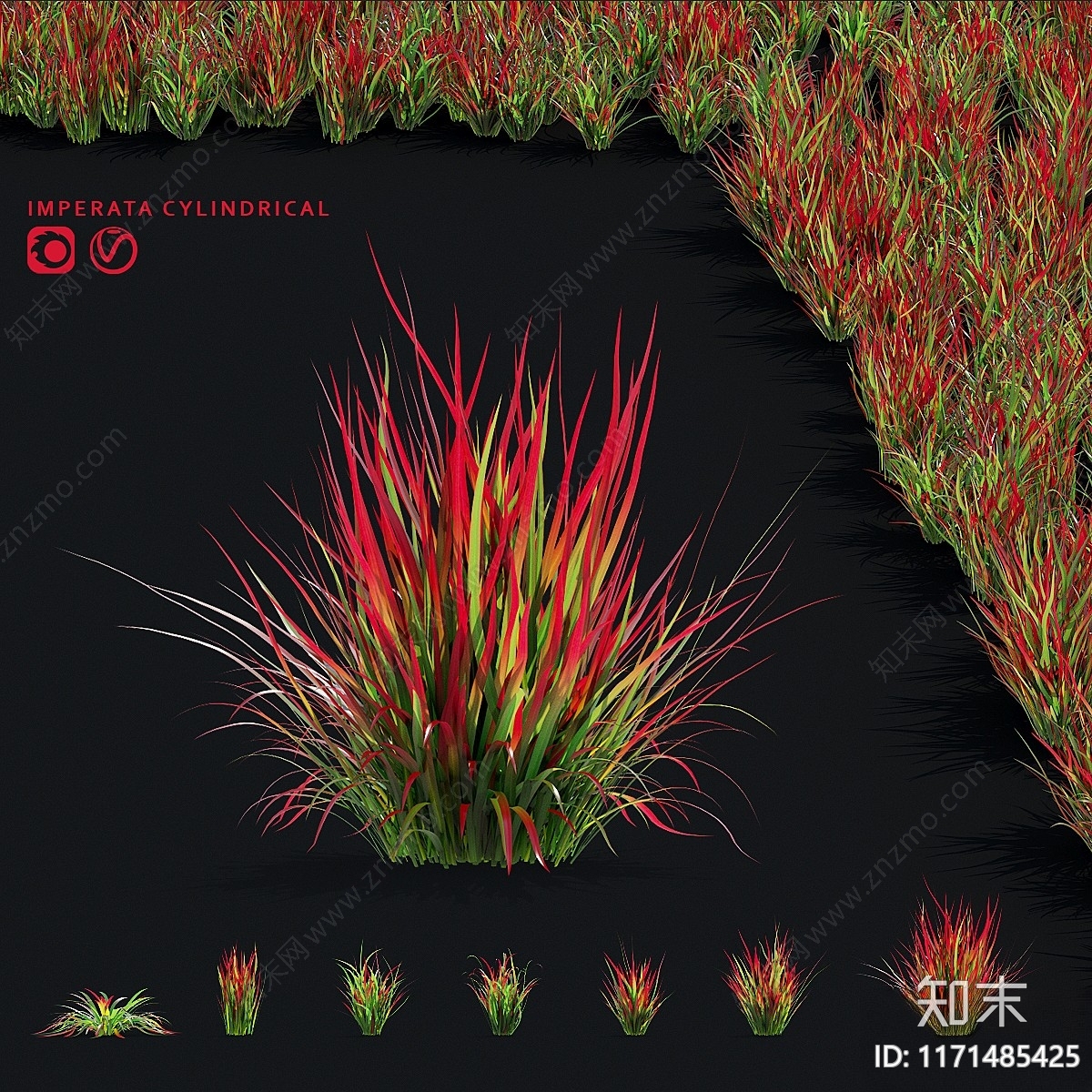 草3D模型下载【ID:1171485425】