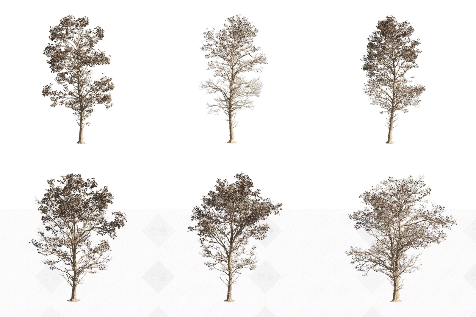 景观树3D模型下载【ID:1171514870】