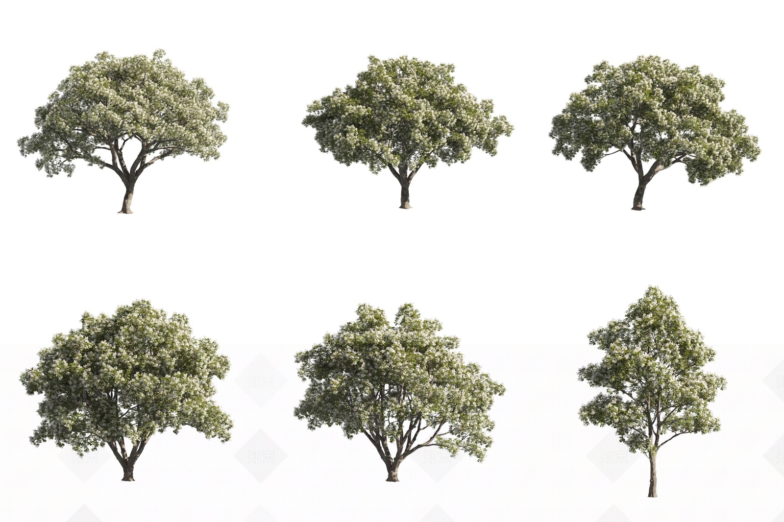 景观树3D模型下载【ID:1171518236】