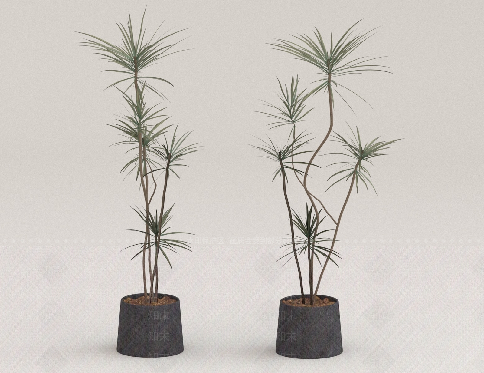 其他绿植3D模型下载【ID:1171536126】