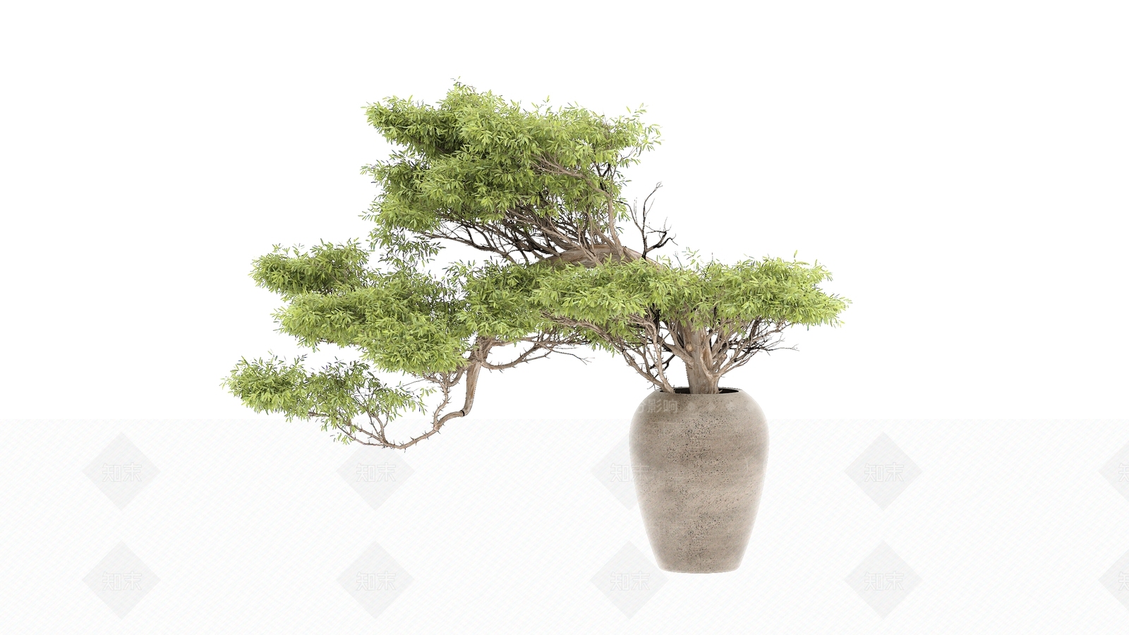 景观树3D模型下载【ID:1171543935】