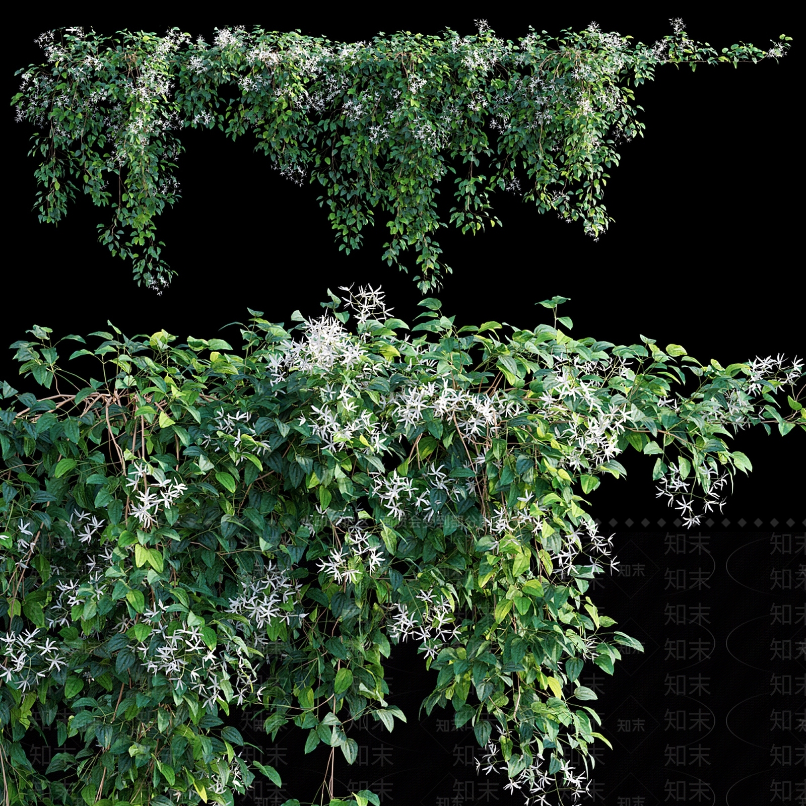 藤蔓3D模型下载【ID:1171566405】