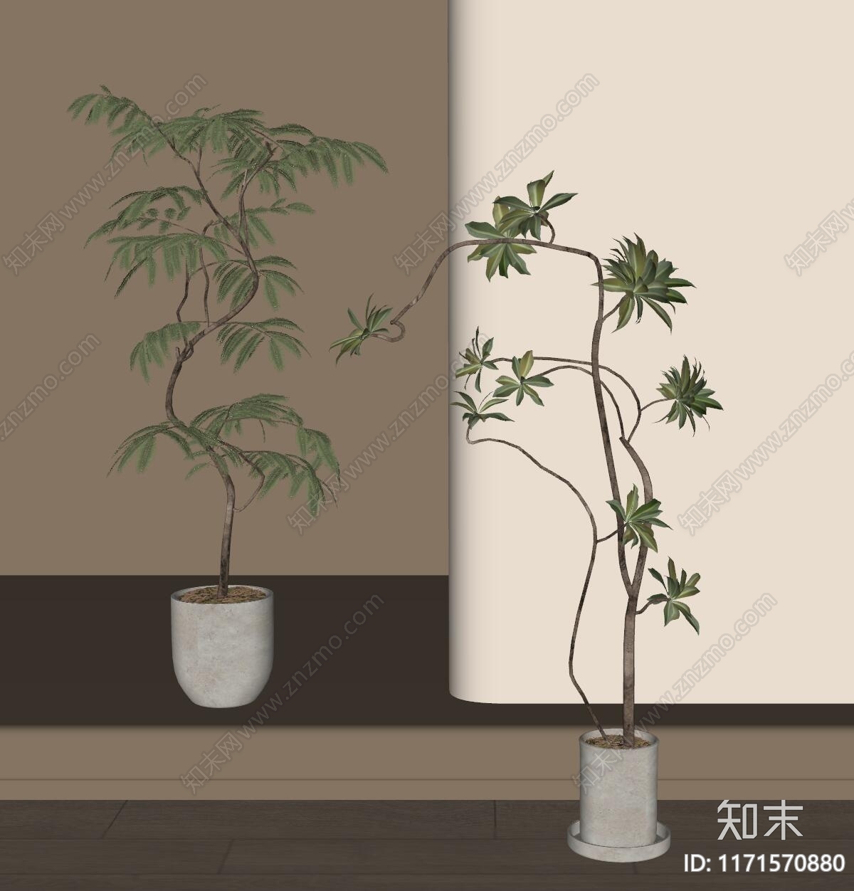 盆栽SU模型下载【ID:1171570880】