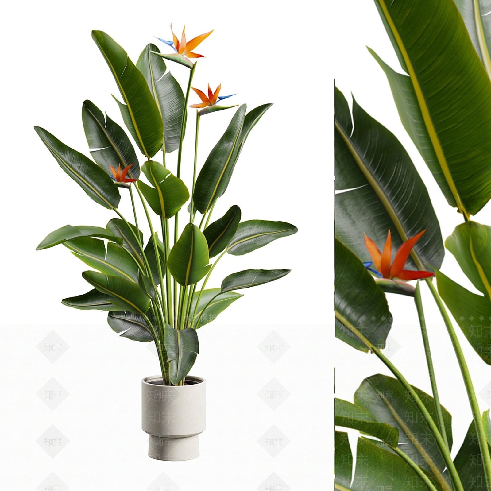 盆栽3D模型下载【ID:1171574406】